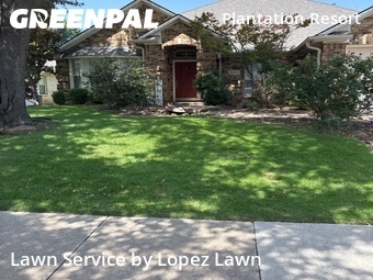 Grass Cutting nearby Frisco, TX, 