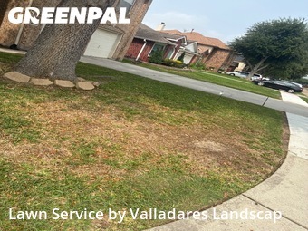 Lawn Mowing Servicein Pasadena,77504,Lawn Cut by Valladares Landscap, work completed in Jul , 2026
