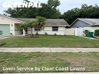 Yard Mowing nearby Palm Harbor, FL, 