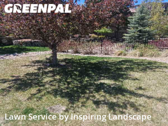 Weed Trimming in Lone Tree, 80124, Lawn Care by Inspiring Landscape, work completed in Nov , 2025
