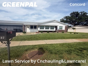 Lawn Cutting nearby St. Louis, MO, 