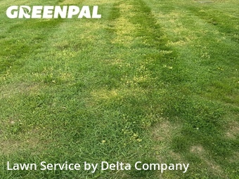 Lawn Mowing Service nearby Bowling Green, KY, 