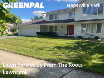 Lawn Cut nearby Naperville, IL, 