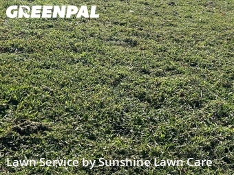 Lawn Care Service nearby Port St. Lucie, FL, 