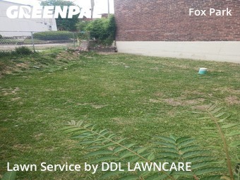 Lawn Cutting nearby St. Louis, MO, 