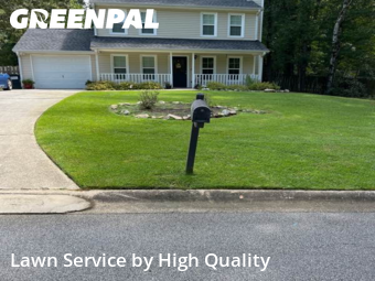 Yard Care in Peachtree City, 30269, Yard Management by High Quality , work completed in Dec , 2025