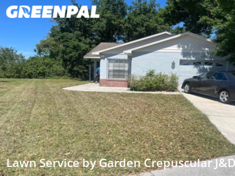 Lawn Cut nearby Orlando, FL, 