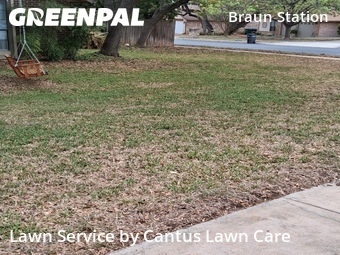 Yard Cutting nearby San Antonio, TX, 