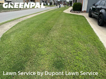 Lawn Cut nearby Clarksville, TN, 