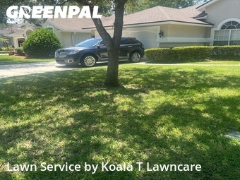 Lawn Cut nearby Fruit Cove, FL, 