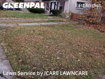 Yard Mowing nearby Detroit, MI, 