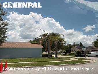 Lawn Mow nearby Orlando, FL, 