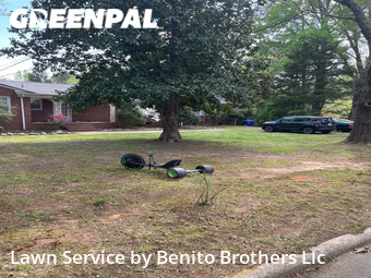 Grass Cut nearby Chapel Hill, NC, 