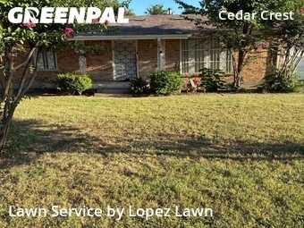Grass Cut nearby Fort Worth, TX, 