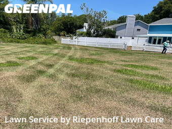 Lawn Cut nearby Tampa, FL, 