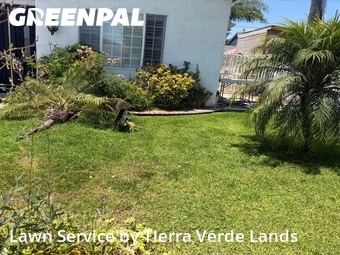 Lawn Cut nearby Carson, CA, 