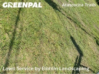 Lawn Cutin Humble,77346,Lawn Mowing by Elohim Landscaping, work completed in Dec , 2025