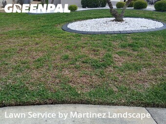 Lawn mowed in The Villages, 32162