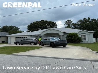 Lawn Cut nearby Palm Coast, FL, 