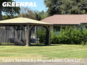 Work completed by lawn-care-experts-near-me-in-Carmichael-CA