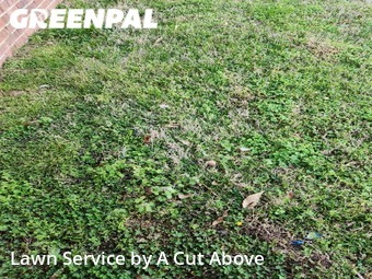 Grass Cutting nearby Smyrna, TN, 