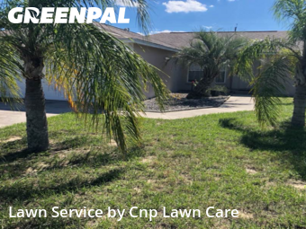 Yard Care in Lake Wales, 33853, Grass Care by Cnp Lawn Care, work completed in Nov , 2025