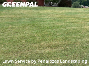 Yard Mowing nearby Lawrenceville, GA, 