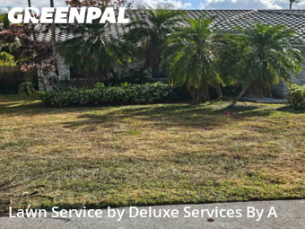 Lawn mowed in Tamarac, 33321