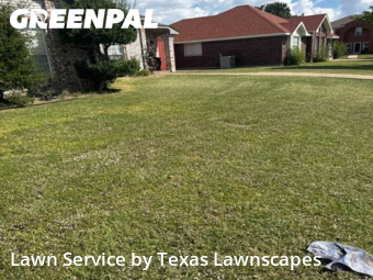 Grass Care in Rowlett, 75089, Yard Services by Texas Lawnscapes, work completed in Dec , 2025