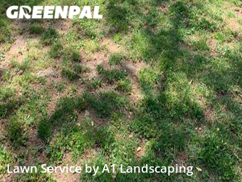 Lawn Maintenance nearby Bentonville, AR, 