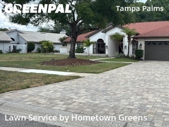 Lawn Cut nearby Tampa, FL, 
