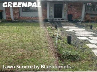 Lawn Service nearby Austin, TX, 