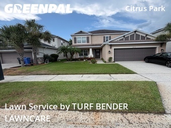 Lawn Mow nearby Tampa, FL, 