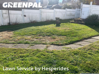 Grass Cut nearby Mc Keesport, PA, 