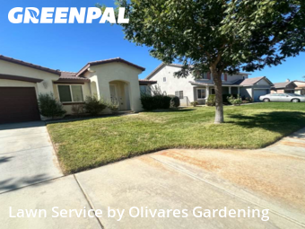 Lawn Maintenancein Lancaster,93535,Lawn Mow by Olivares Gardening , work completed in Dec , 2025