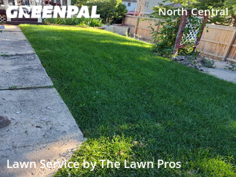 Lawn Mowing Service nearby Broomfield, CO, 