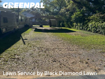 Grass Services in Ensley, 32526, Property Maintenance by Black Diamond Lawn, work completed in Nov , 2025