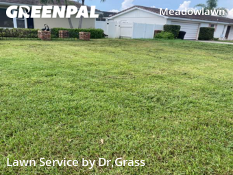 Yard Cutting nearby St. Petersburg, FL, 