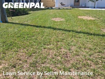 Lawn Cutting nearby St. Augustine, FL, 