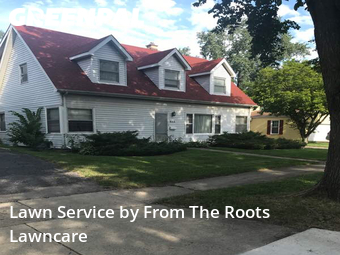 Lawn Mowing nearby Elmhurst, IL, 