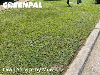 Grass Cutting nearby Tallahassee, FL, 