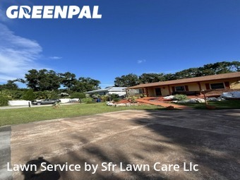 Lawn Servicein Oldsmar,34677,Yard Mowing by Sfr Lawn Care Llc, work completed in Nov , 2025