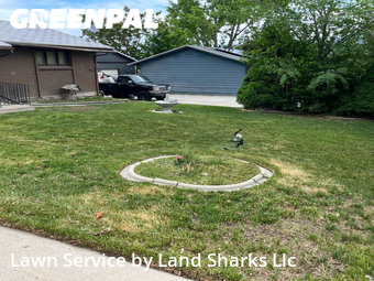 Lawn Cut nearby Salt Lake City, UT, 