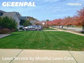 Property Maintenance in Ann Arbor, 48103, Yard Mowing by Mindful Lawn Care, work completed in Nov , 2025