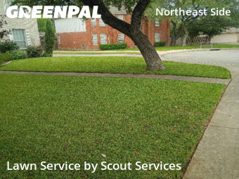 Yard Cutting nearby Converse, TX, 