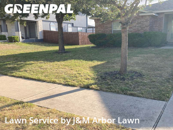 Grass Cut nearby Hutto, TX, 