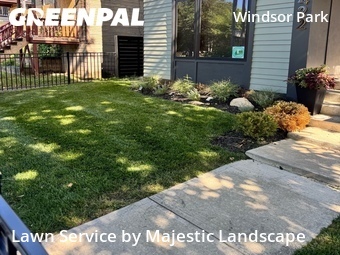 Lawn Cut nearby Indianapolis, IN, 