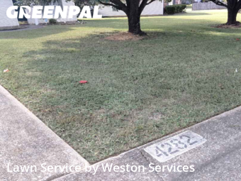 Lawn Mow nearby Bessemer, AL, 