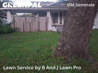 Lawn Maintenance nearby Tampa, FL, 