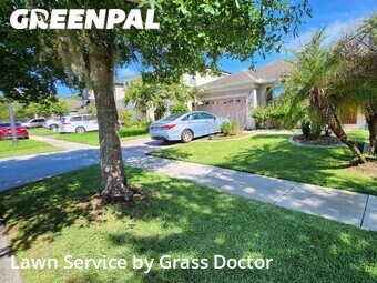 Lawn Mow nearby Orlando, FL, 